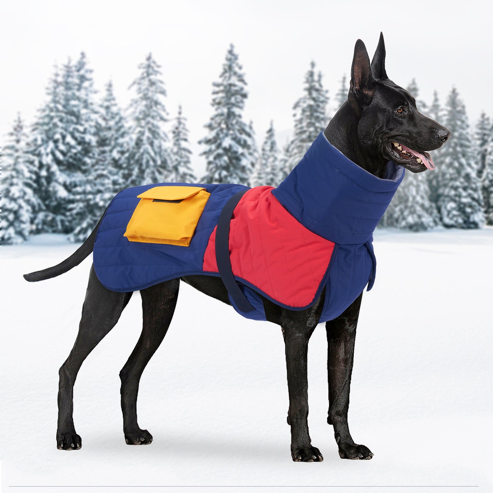Warm Padded Dog Coat