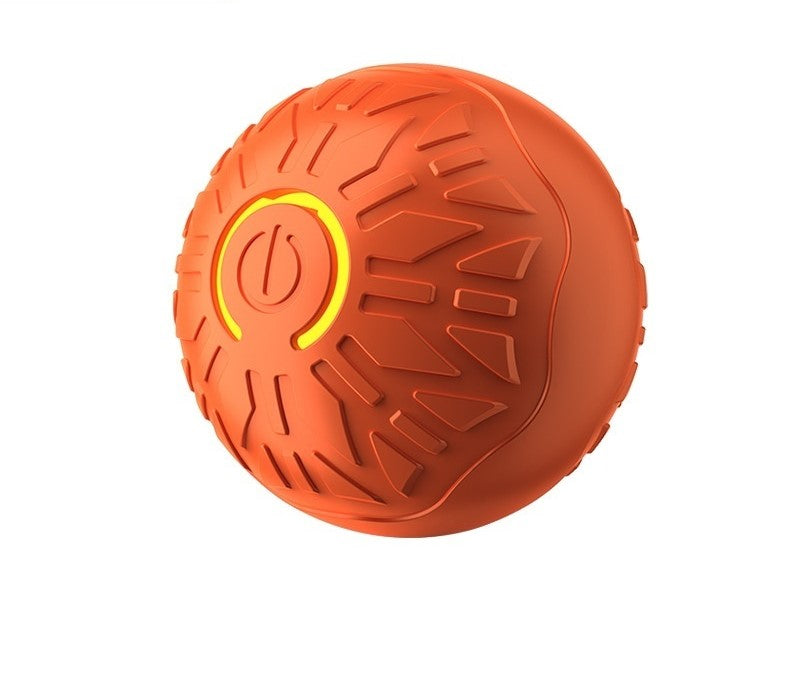 Dog Automatic Ball