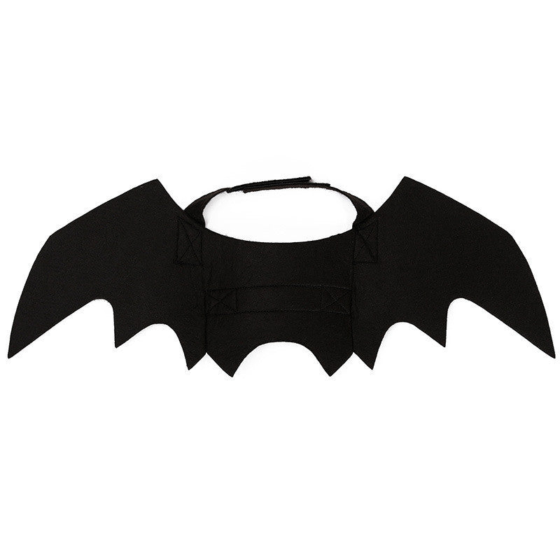 Halloween Cat Bat Costume