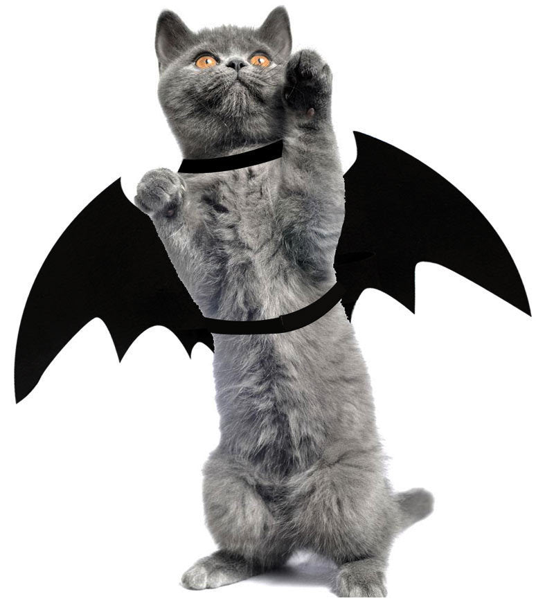 Halloween Cat Bat Costume