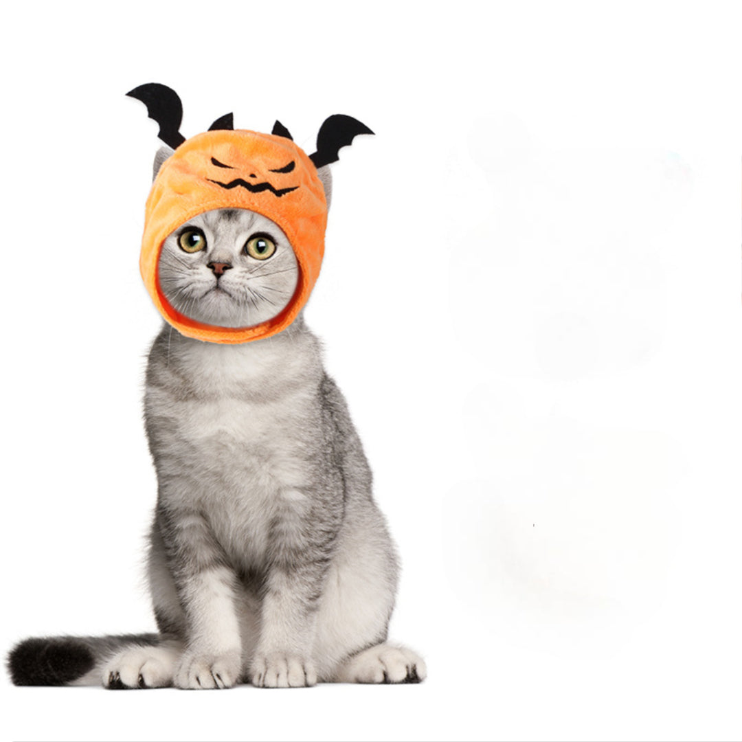 Halloween Cat Hat