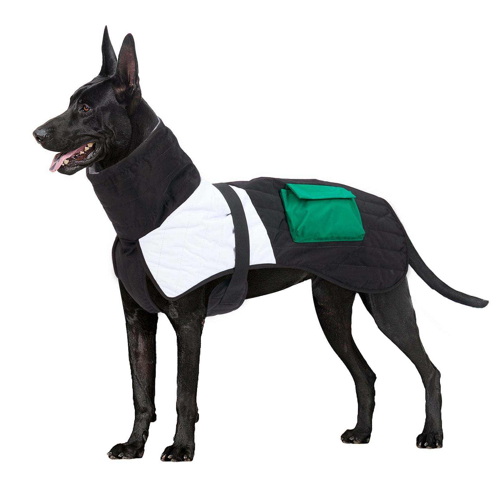 Warm Padded Dog Coat