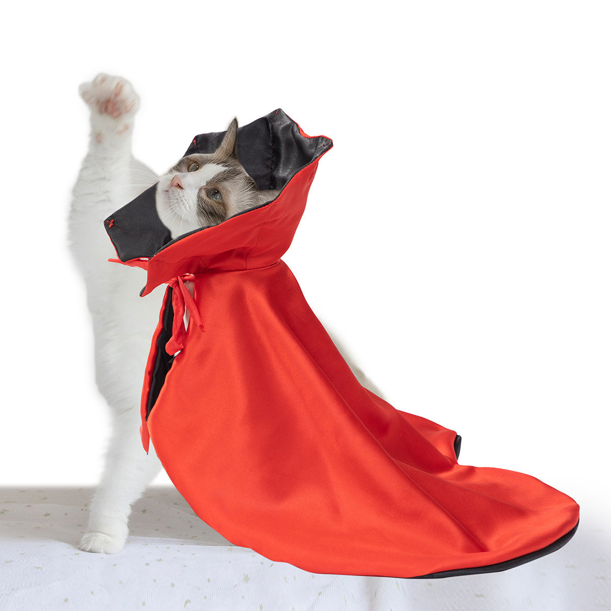 Halloween Cat Costume